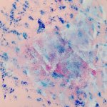 11085009_923471117703266_1349281125_a