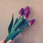 10914452_436640873165759_1751673364_a