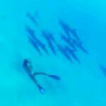 11850304_104846003201359_2112546074_a