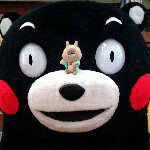 10832134_890050464362281_2053839005_a