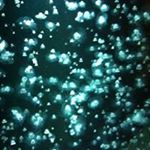 11363967_1597162100549496_188983657_a