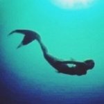 11856588_126528717690081_492762032_a