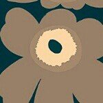 10576058_1499109780325790_556564704_a