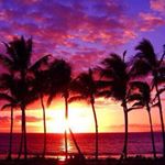 12106204_538602342980030_1384457943_a