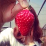 11821337_1635177133387825_1706552002_a