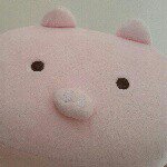 11378354_380591865475368_1366413093_a