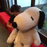 11856848_965707536824355_727772408_a