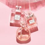 12106060_414267738761807_917064348_a