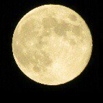 11856558_1621568494797710_807270450_a