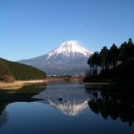 11909373_1658376331064723_1746648689_a