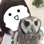 11424602_1442659899375247_1181550604_a