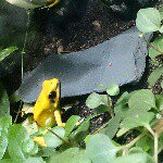 11335770_726998630756659_1667629942_a