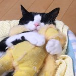 11023162_1552905291641422_1562122069_a