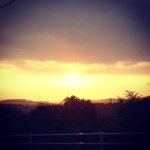 11351739_1479134849054020_1549030442_a