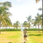 10607919_1485700491684507_669121443_a