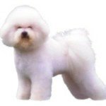 11033049_895427333810666_574443882_a