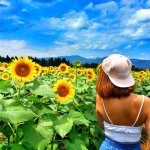 10655061_1522224171350871_1211960671_a