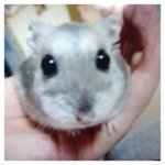 10683916_1525087591037116_63146490_a