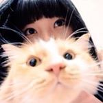 11363983_1482742012027980_153625425_a