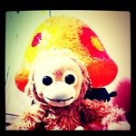 11348269_840119322740091_2026258069_a