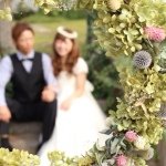 11378246_1631394620450323_54921734_a