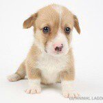 11137917_1593670740873363_2124662244_a