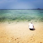 11264664_1025311980832618_1883418975_a