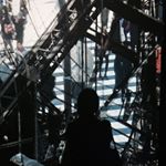 11887112_1701351696765690_2137135567_a