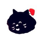 11245638_1649189991993750_697624982_a