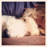 11428672_1658073167767494_706537669_a