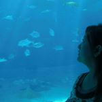 11377994_1618471228429809_940191484_a