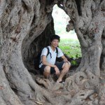 11355743_896668023726701_1013988930_a