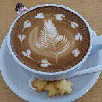 11934876_1658996564337110_78253337_a