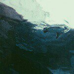 923783_720551991370892_2068901853_a