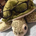 10727625_677238325727185_1167461036_a