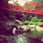 12106163_421852557939503_1423898969_a