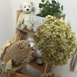 11420832_1634124340199376_673127264_a