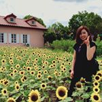 11249598_1486191855039203_151335673_a