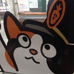 11426655_434873343382678_1363087091_a