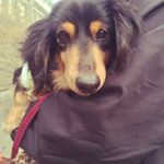 1389182_948217578554482_1628523060_a