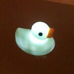 926832_1432486687038683_928585356_a