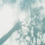 10597383_306151089567009_607917891_a