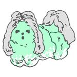 11379878_952208954802602_497328378_a