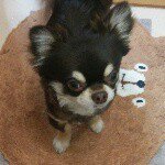 10891109_802048749880535_1739001417_a