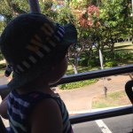 11352867_969561516399551_1783909426_a