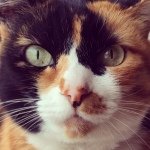 928518_494954217300548_1340307355_a