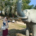 11374218_836638826435491_491911231_a