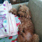 10948890_450101218475445_7713564_a