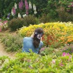 11189206_1444455632519944_161667959_a