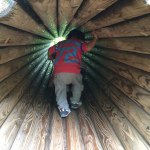 10665892_794836633870763_132556769_a